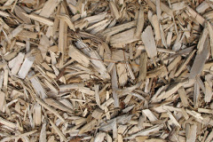 biomass boilers Turnerwood